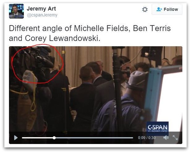 Michelle Fields Hoax
